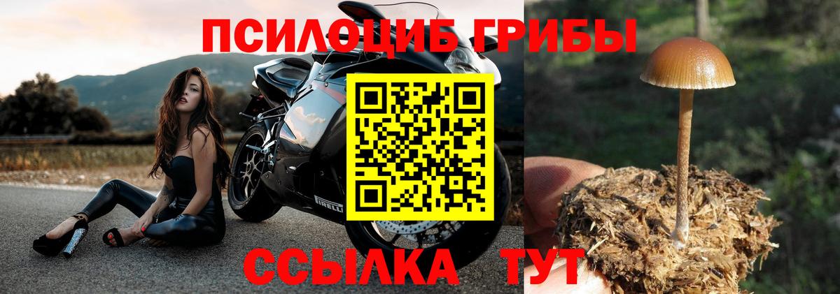 Орск  Псилоцибиновые грибы Psilocybine cubensis  Вход с VPN  купить закладку  Галлюциногенные грибы Psilocybe 
